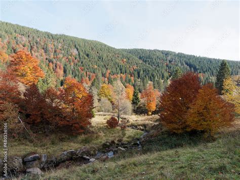 Menzenschwander Tal im Südschwarzwald Kluse mit ihrer Pendelrampe