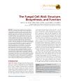 Pdf The Fungal Cell Wall Structure Biosynthesis And Function