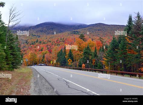 fall colors autumn foliage  red orange  yellow fall colors