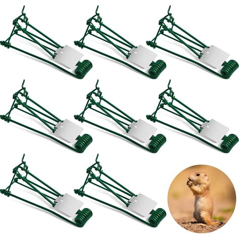 Qualirey 8 Pcs Outdoor Gopher Trap Easy Set Mole Trap