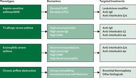 Bronchial Thermoplasty And Biological Therapy As Targeted Treatments