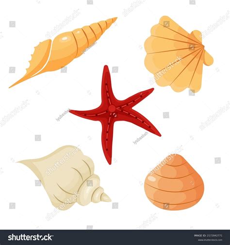 Colorful Tropical Shells Underwater Icon Set Stock Vector Royalty Free