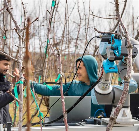 Pruning Robot Makes The First Cut Good Fruit Grower