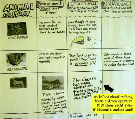 Structural And Behavioral Adaptations Students Used The Arkive Site