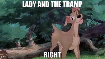 YARN LADY AND THE TRAMP RIGHT Lady And The Tramp 1955 Romance