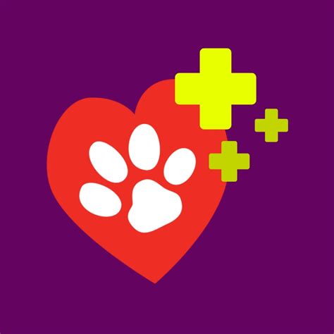Shvv Graphic Vet Stuff Youtube