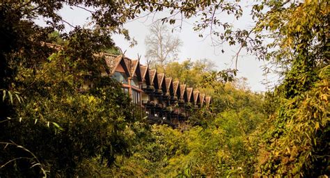 Chiang Rai Elephant Experiences | Sleep among elephants