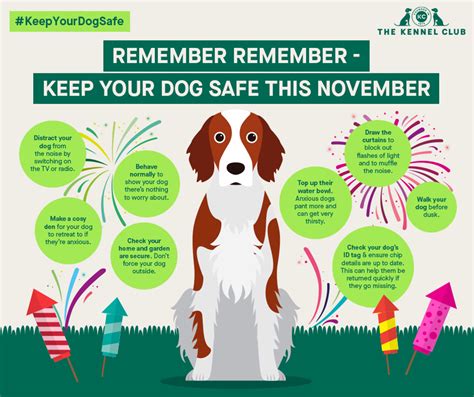 How To Help Your Dog With Fireworks