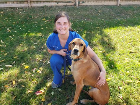 Meet Our Veterinary Technicians Grady Veterinary Hospital Grady Veterinary Hospital