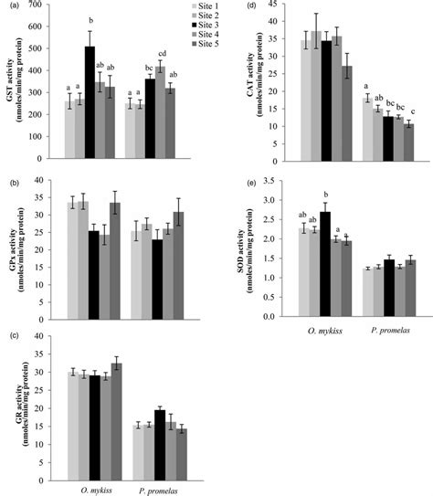 Detection Of Antioxidant Enzymes And Ros Activity Of A Gst B Download Scientific Diagram