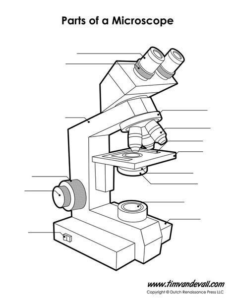 Microbiology Exam 1 Diagram Quizlet