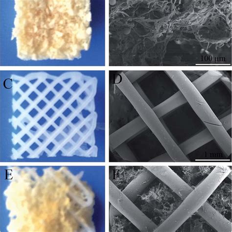 Pdf Fabrication And Characterization Of Electrospinning 3d Printing