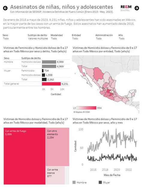 Feminicidio De Niñas Y Adolescentes En México A Mayo De 2023 Blog