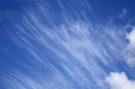 Cirrus Clouds | ClipPix ETC: Educational Photos for Students and Teachers