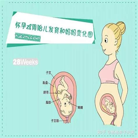 孕产说：孕28周，胎宝宝臀位，准妈妈该怎么办？早知道，早准备 知乎