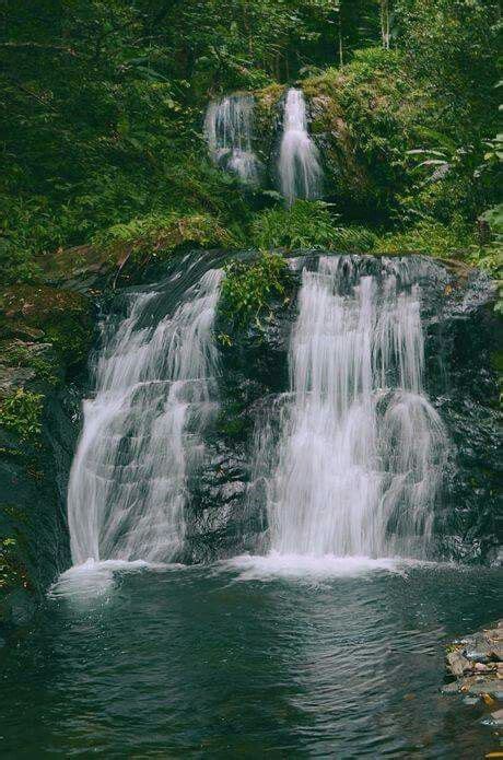 Cascada Las Delicias En El Bosque Los Tres Picachos Cialespuerto