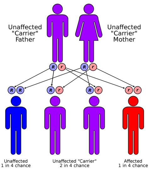 Batten Disease Causes Symptoms Diagnosis And Medication How To Relief