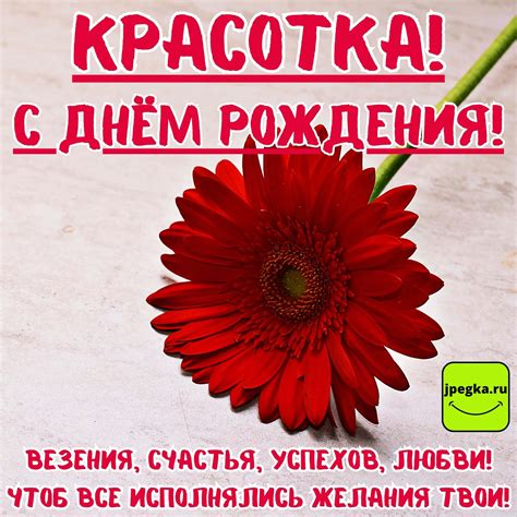 Открытки «С Днём Рождения, красотка!»: 50 картинок