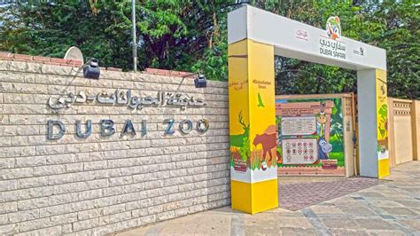 Dubai Zoo shuts to the public after 50 years | blooloop