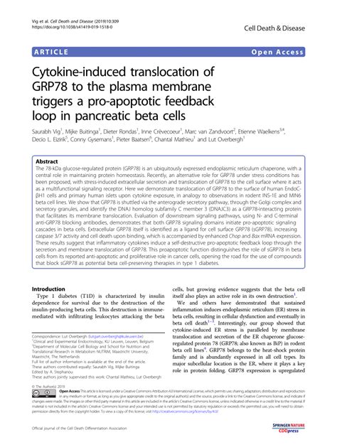 PDF Cytokine Induced Translocation Of GRP78 To The Plasma Membrane