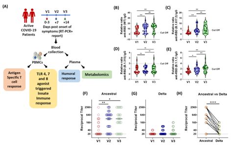 Covid Antigen Specific T Cell Response And Immuno Metabolomic