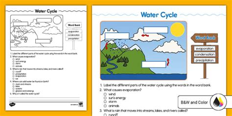 Second Grade Water Cycle Quiz Teacher Made Twinkl Worksheets Library