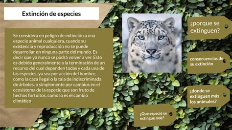 Extincion De Especies By Kenneth Navarrete On Prezi