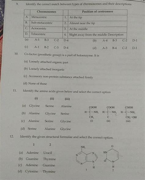 Identify The Correct Match Between Types Of Chromosomes And Their Descrip