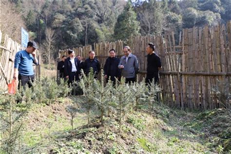 南山国家公园：开展“国际生物多样性日”主题宣传凤凰网湖南凤凰网