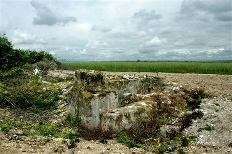 Reportage Photographique Champagne Association Nationale