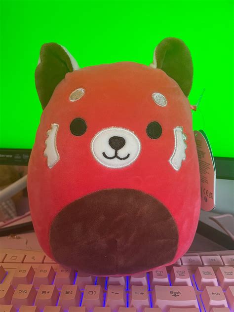 Cici The Red Panda 8 Squishmallow Etsy