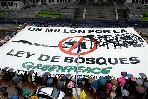 Fundaci N Greenpeace Argentina Bosques Y Glaciares En Peligro Sum