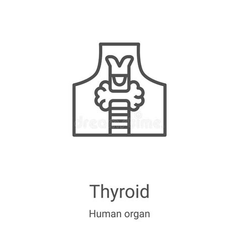 Thyroid Gland Icon Vector From Human Body Collection Thin Line Thyroid