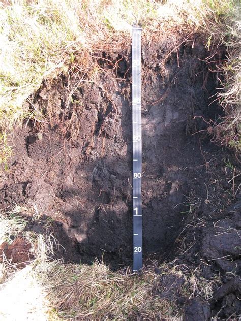 Suzanne's Ireland Soils: Soils: Gley Soils