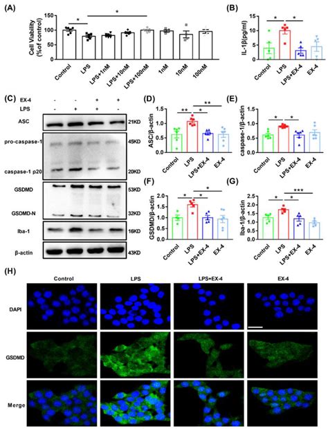 GLP 1R Activation Inhibited The Upregulation Of Pyroptosis Related