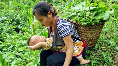 Single Mother Harvesting Vegetables To Sell At The Market Daily Life Of Mother And Daughter