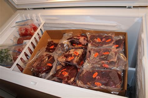 How To Store Meat Long Term Storables