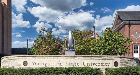 The Mascot Penguin of Youngstown State University Photograph by ...