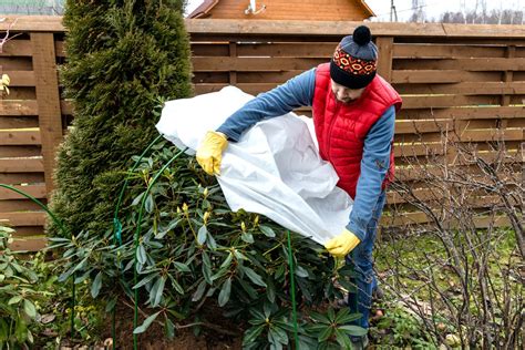 7 conseils pratiques pour protéger vos plantes de l arrivée du froid