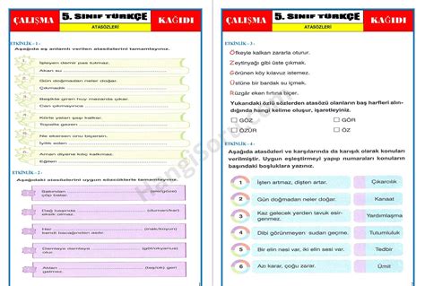 5 Sınıf Atasözleri Çalışma Kağıdı PDF HangiSoru