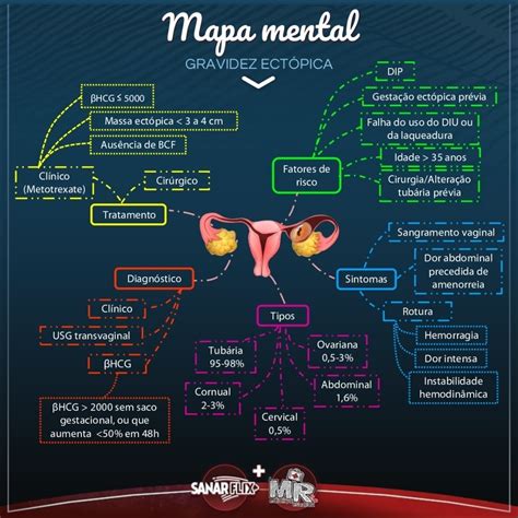 Mapas Mentais Sobre GRAVIDEZ Study Maps