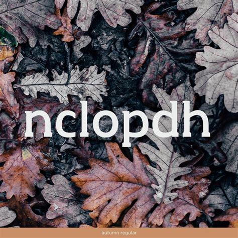 Typographic Universe: Creating a Unique Typeface