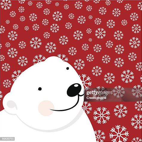 104 Polar Bear Texture Stock Photos High Res Pictures And Images