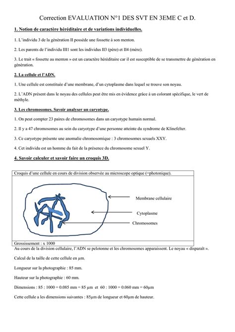 Devoir Maison De Svt Eme Sur Les Chromosomes Ventana Blog