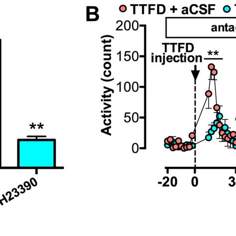 Dopamine D Receptor Antagonist Inhibits Ttfd Induced First Peak Of