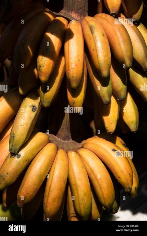 A Bunch Of Indian Grown Red Bananas Are On Sale At A Fruit And Veg Stall