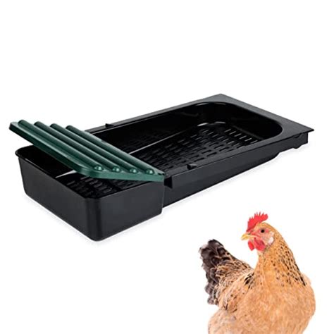 Ponederos Para Gallinas Todo Lo Que Necesitas Saber Para Elegir El