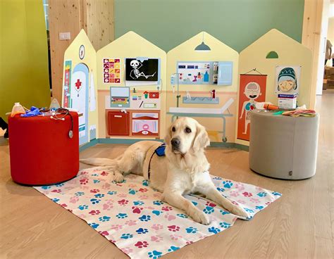 Descubre la historia de Mel, una mascota que acaba de jubilarse después