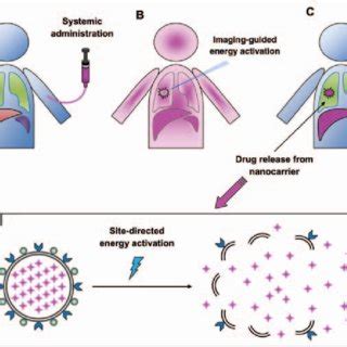 Diagram Shows How Theranostic Systems Combine Diagnostic Tests In This