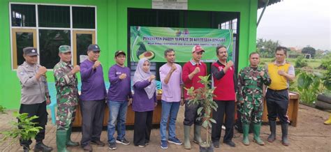 Penanaman Pohon Alpukat Dalam Rangka Hari Menanam Pohon Indonesia